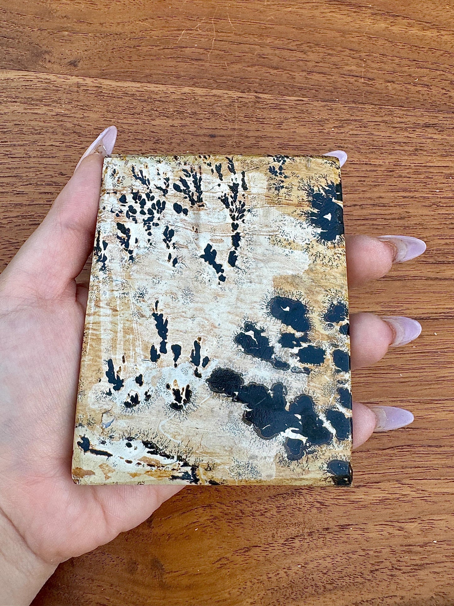 Magnifique tranche tableau en jaspe paysage pierre semi précieuses