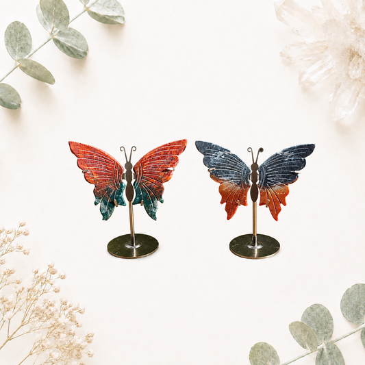 Ailes papillon en jaspe océan pierre semi précieuse