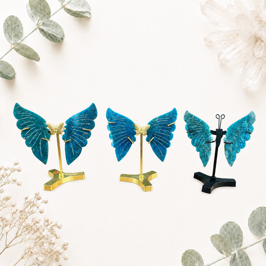 Ailes papillon en apatite pierre semi précieuse