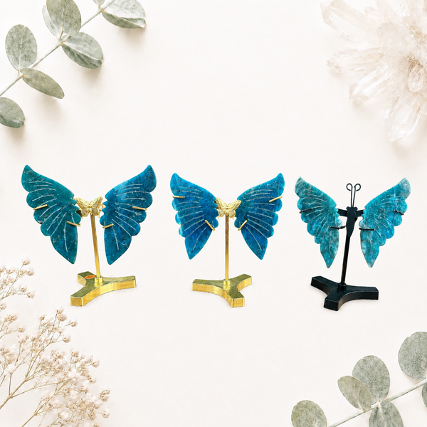Ailes papillon en apatite pierre semi précieuse