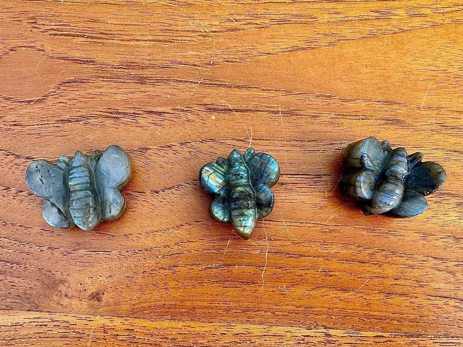 Abeille en labradorite pierre naturelle semi précieuse