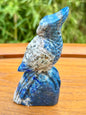 Sculpture perroquet en sodalite pierre semi précieuse