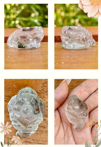 Money toad en lodolite - quartz jardin pierre semi précieuse