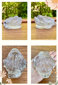 Grande grenouille en lodolite - quartz jardin pierre semi précieuse