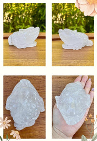 Grande grenouille en lodolite - quartz jardin pierre semi précieuse