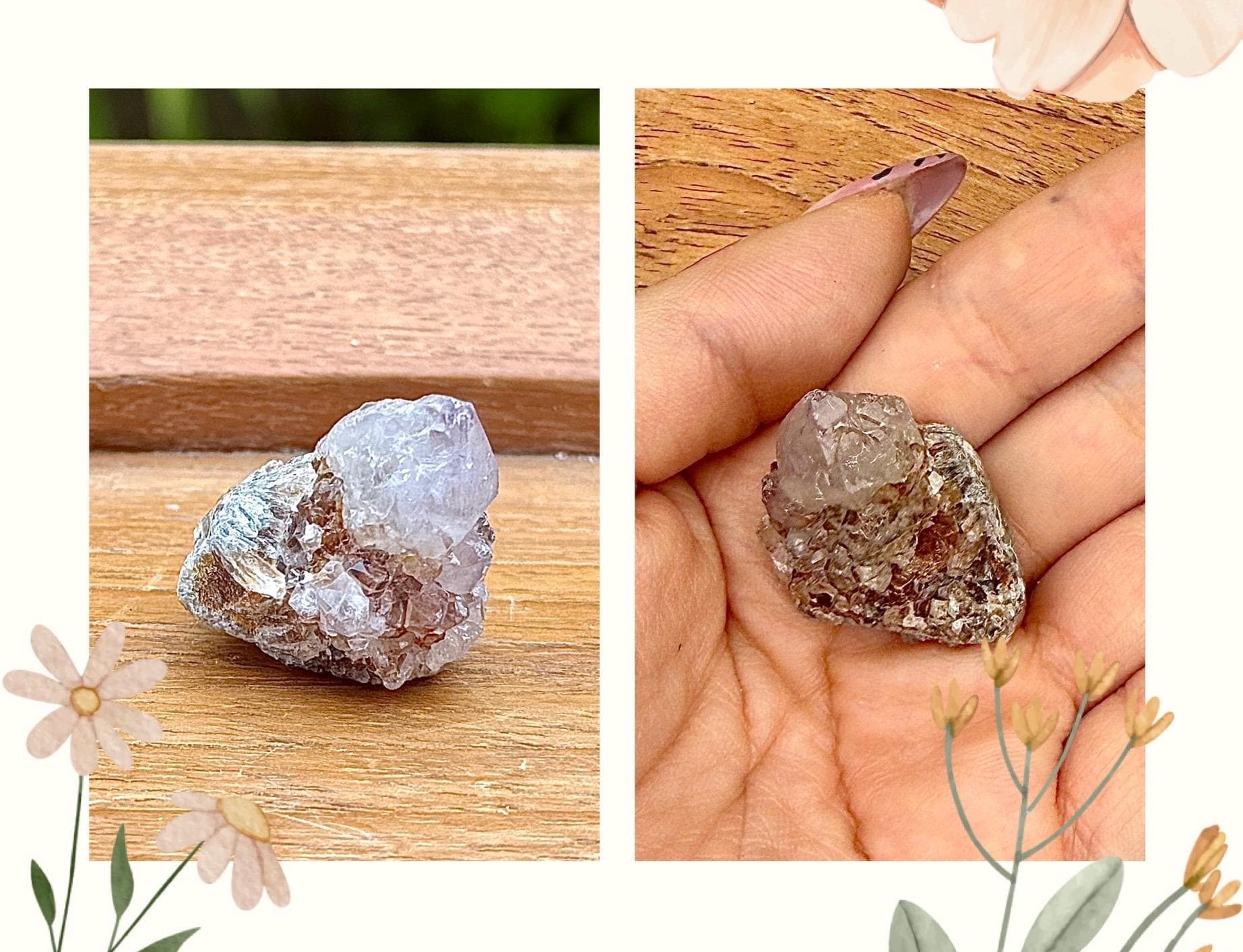 Rare quartz cactus - Spirit pierre semi precieuse