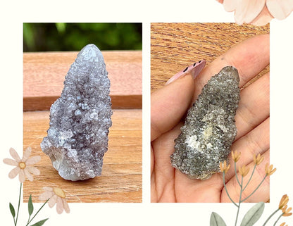 Rare quartz cactus - Spirit pierre semi precieuse