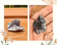 Rare quartz cactus - Spirit pierre semi precieuse