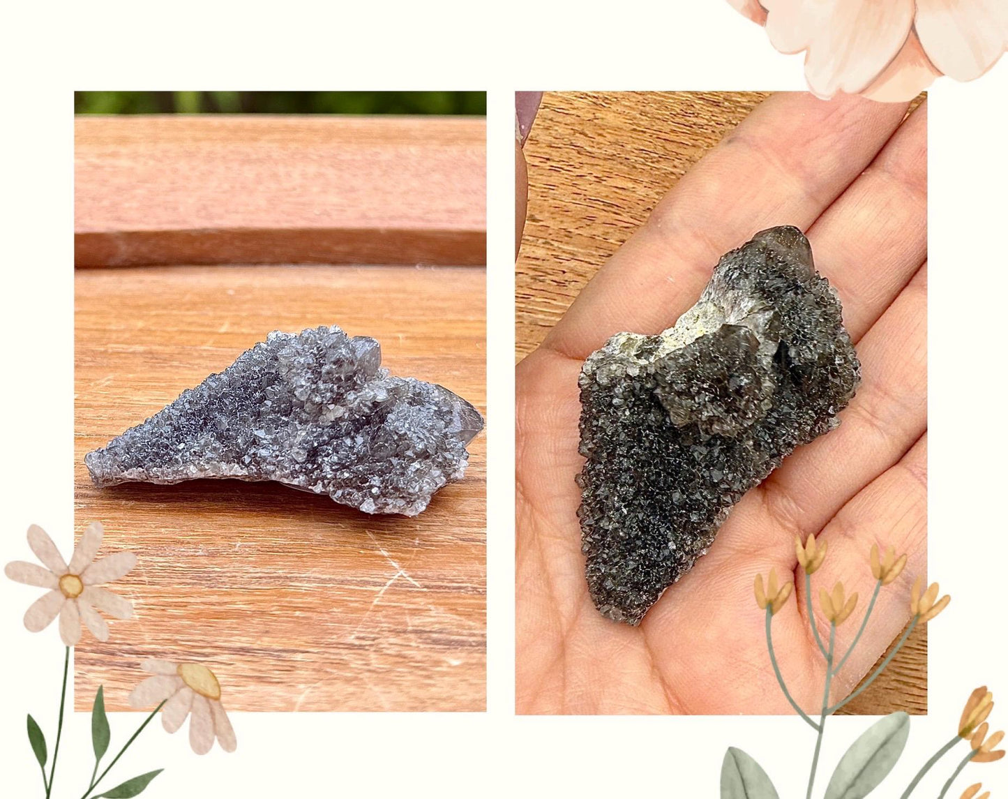 Rare quartz cactus - Spirit pierre semi precieuse