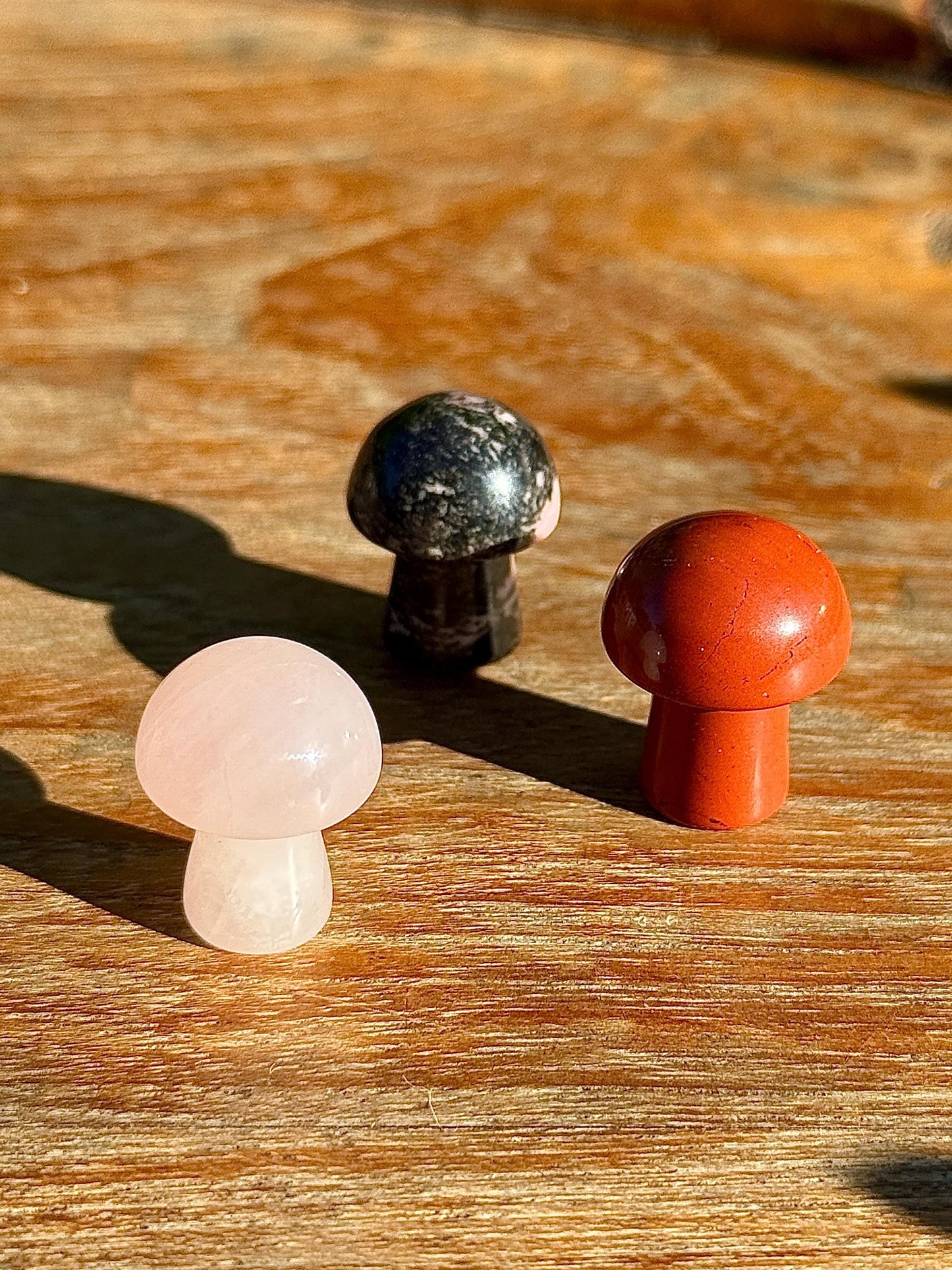 3 minis champignons mystères en pierre semi précieuse