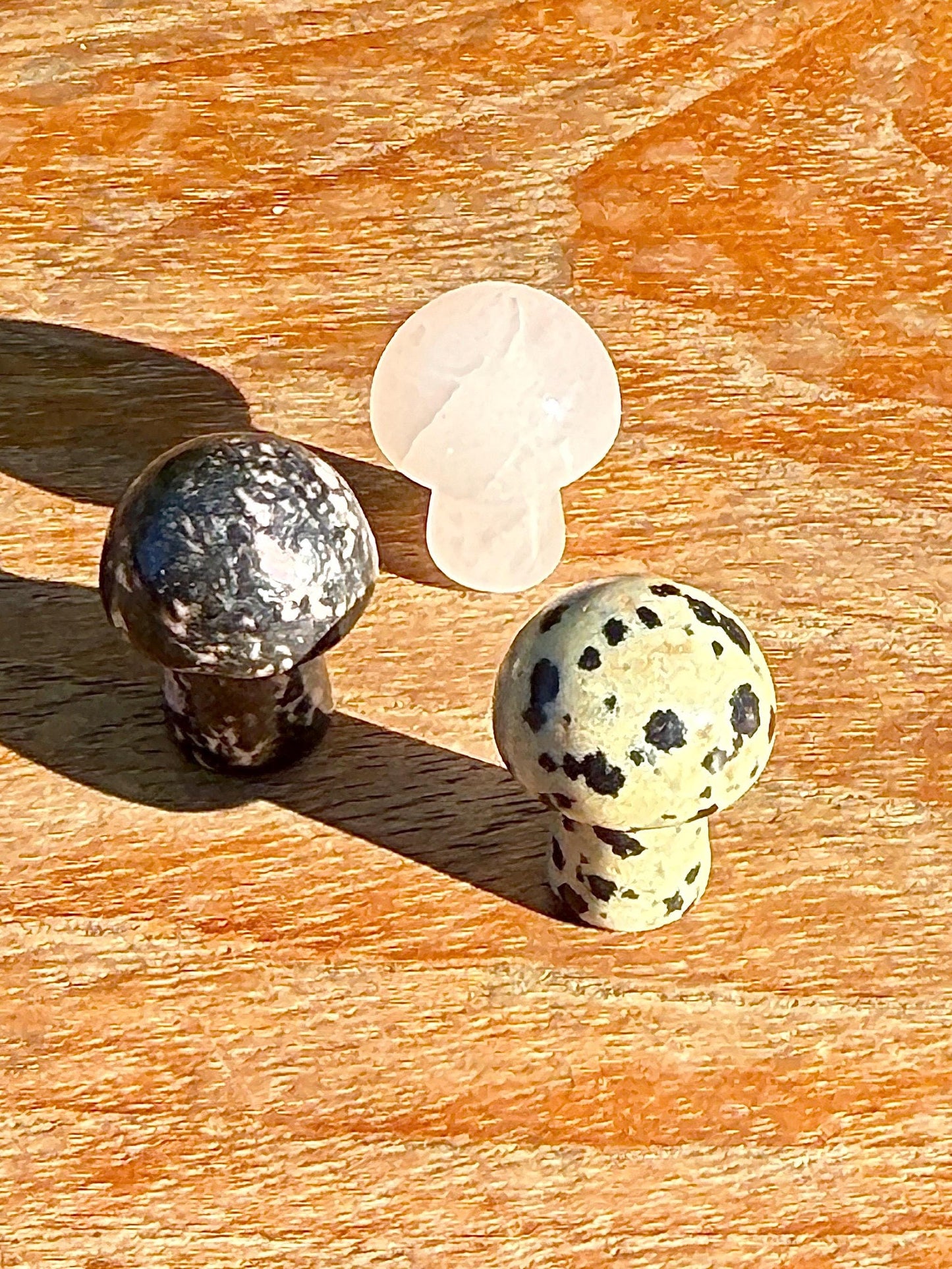 3 minis champignons mystères en pierre semi précieuse