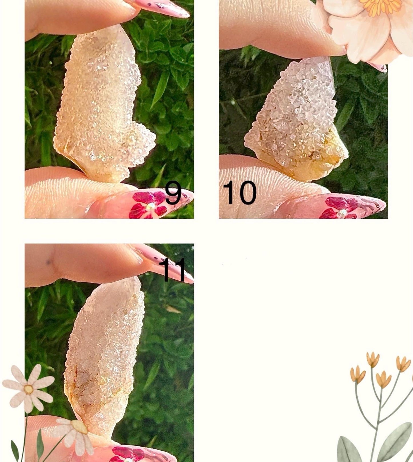 Rare amethyste cactus - cristal spirituel pierre naturelle semi precieuse