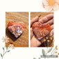 Coeur en agate/calcédoine rose pierre naturelle semi précieuse