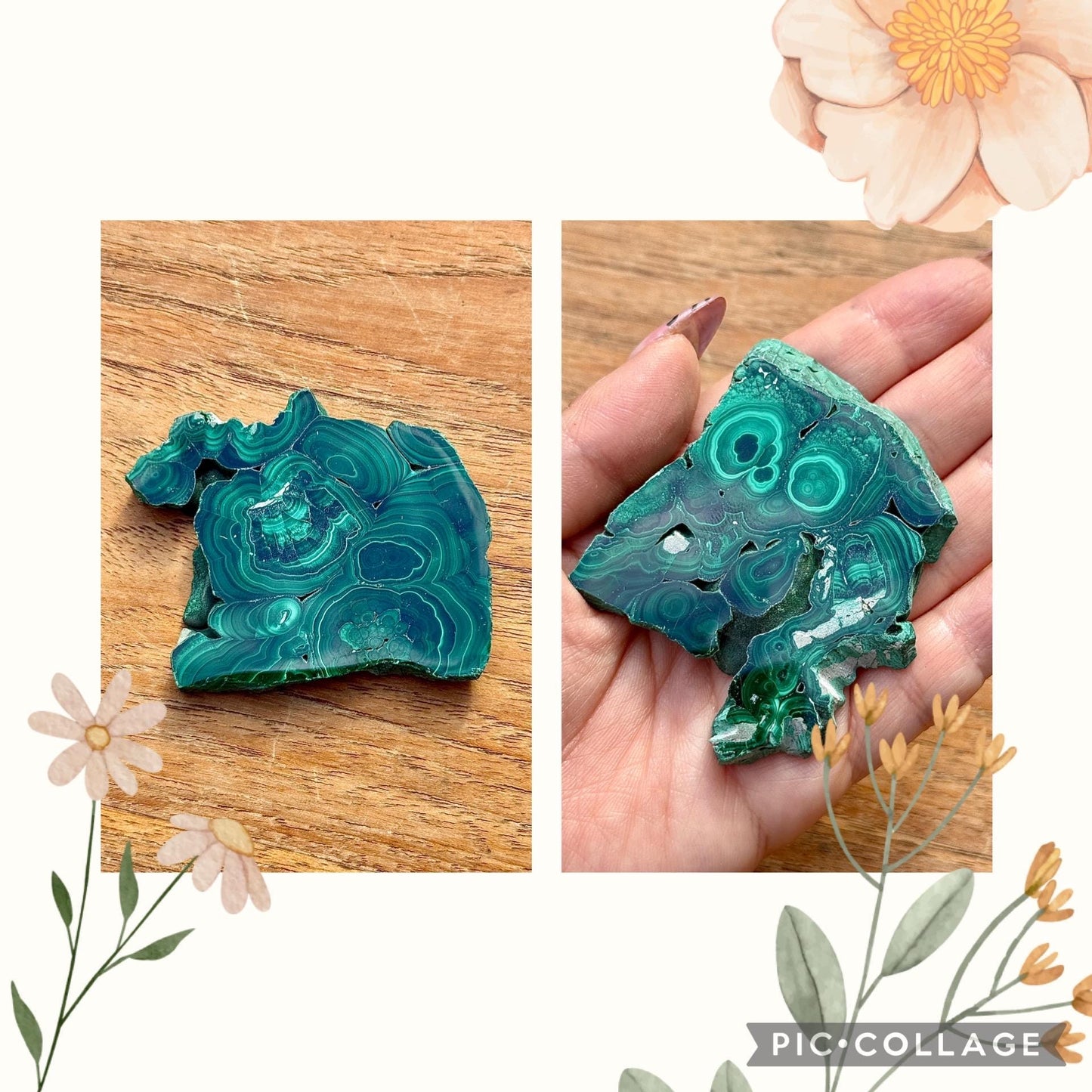 Spécimen de malachite pierre naturelle semi précieuse