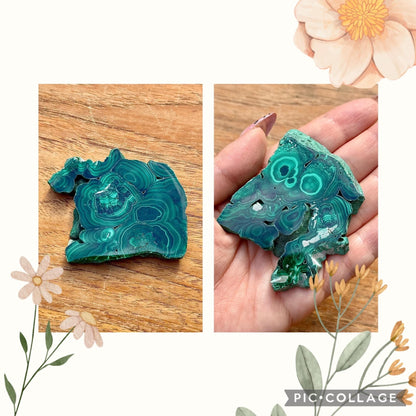 Spécimen de malachite pierre naturelle semi précieuse