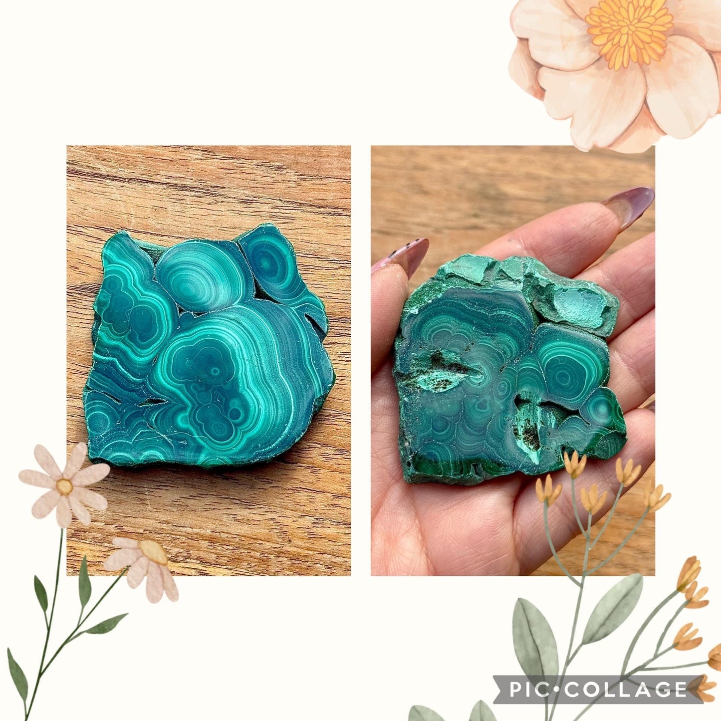 Spécimen de malachite pierre naturelle semi précieuse