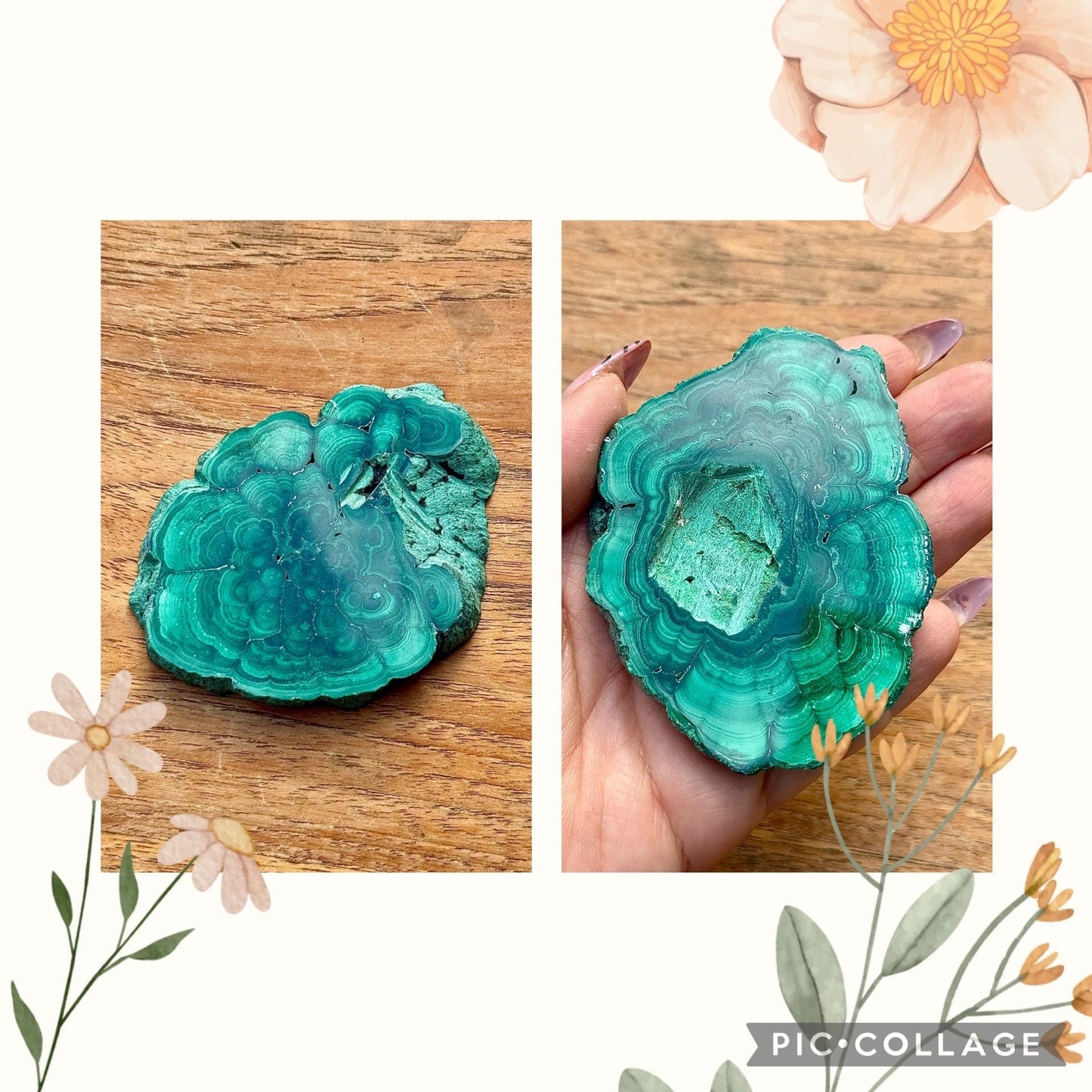 Spécimen de malachite pierre naturelle semi précieuse