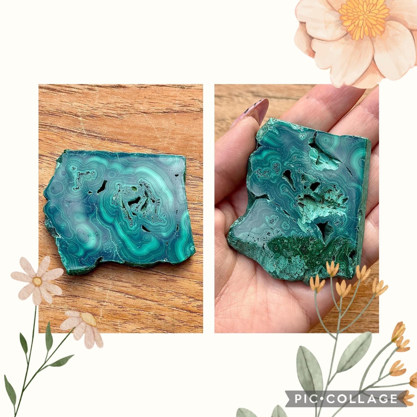 Spécimen de malachite pierre naturelle semi précieuse