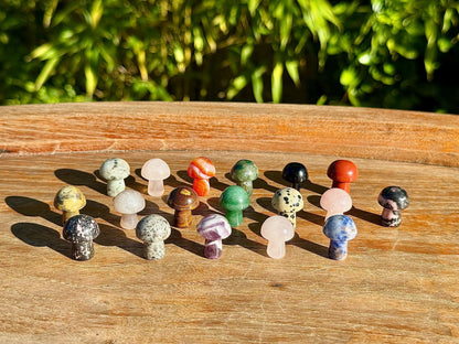 3 minis champignons mystères en pierre semi précieuse