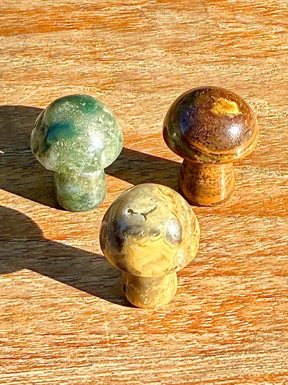 3 minis champignons mystères en pierre semi précieuse