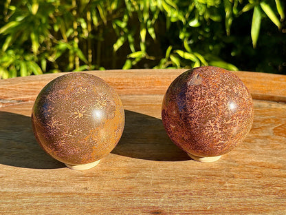 Sphere en jaspe étoile/fossil pierre naturelle semi précieuse